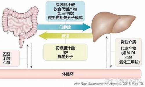 肝肠寸断_肝肠寸断的意思